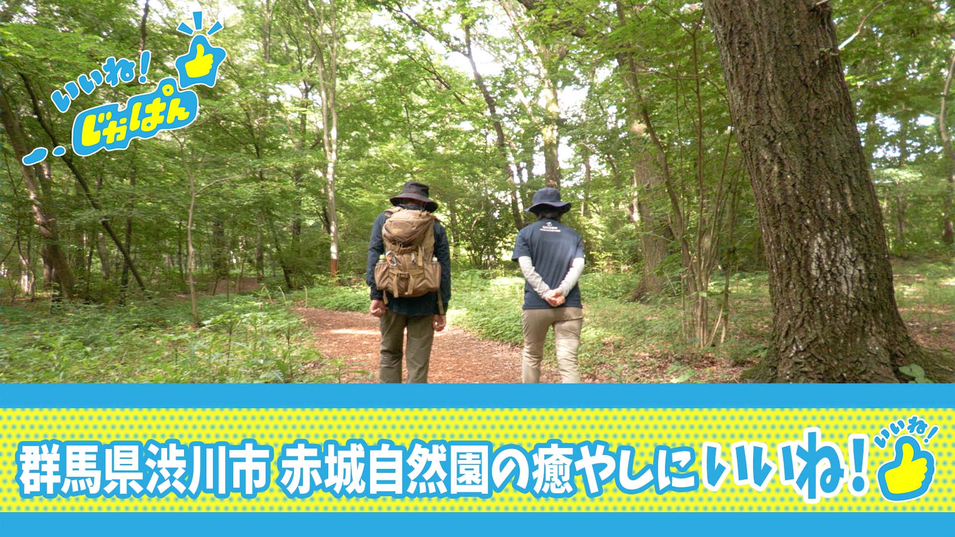 いいね！じゃぱん群馬県渋川市
